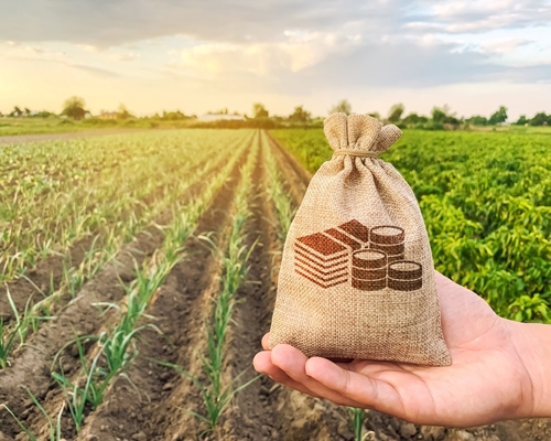 61a66624bb4f2bb514411c4a_Insumos Agricolas