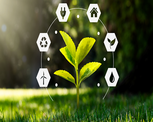 Sustentabilidade-em-acao-conheca-10-vantagens-por-tras-das-acoes-sustentaveis